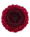 Bolero NeiroNeiro
