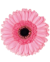 Petticoat